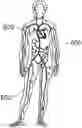 Fig. 01 - Physical-virtual patient system
