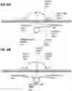 Fig. 28 - Physical-virtual patient system