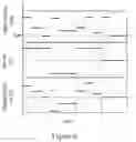 Fig. 05 - Electro-optic displays and methods of driving the same