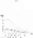 Fig. 07 - Electronic device and method for controlling brightness of display