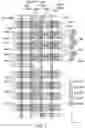 Fig. 07 - One-time programmable memory bit cell