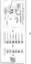 Fig. 02 - Systems and methods for predictive molecular biomarker identification and quantification from morphology changes in histopathology tissue