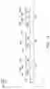 Fig. 02 - Semiconductor package and manufacturing method thereof