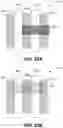 Fig. 85 - Trench contact structures for advanced integrated circuit structure fabrication