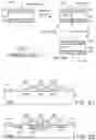 Fig. 02 - Resistive random-access memory cell and associated cell array structure