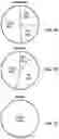 Fig. 07 - INTERFACE DESIGN FOR HIGH CURRENT DENSITY CYCLING OF SOLID STATE BATTERY