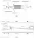 Fig. 02 - Balance-unbalance conversion apparatus, communications device, and communications system