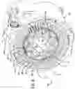 Fig. 07 - Electric machine with configurable stator/rotor cooling
