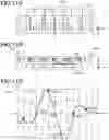 Fig. 12 - Conveyance apparatus and method of manufacturing article