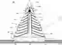 Fig. 01 - Solar energy collector having a tree structure