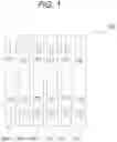 Fig. 02 - Flexible printed circuit board and battery module