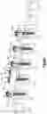 Fig. 13 - Revision connector for spinal constructs