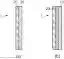 Fig. 01 - Tooth-attachable patch capable of being removed by tooth brushing