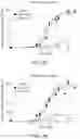 Fig. 03 - TRANS-4-HYDROXYCYCLOHEXYL PHENYL AMIDE MITOFUSIN ACTIVATORS AND METHODS OF USE THEREOF