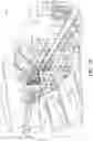 Fig. 09 - ARTICULATING MODULAR ROBOTIC TRIM