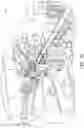 Fig. 10 - ARTICULATING MODULAR ROBOTIC TRIM