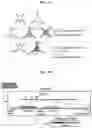 Fig. 02 - METHODS AND USES OF HIGH-THROUGHPUT INFERENCE OF SYNAPTIC CONNECTIVITY RELATIONSHIPS AMONG CELL TYPES