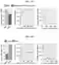 Fig. 08 - METHODS AND USES OF HIGH-THROUGHPUT INFERENCE OF SYNAPTIC CONNECTIVITY RELATIONSHIPS AMONG CELL TYPES