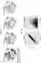 Fig. 14 - METHODS AND USES OF HIGH-THROUGHPUT INFERENCE OF SYNAPTIC CONNECTIVITY RELATIONSHIPS AMONG CELL TYPES