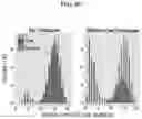 Fig. 15 - METHODS AND USES OF HIGH-THROUGHPUT INFERENCE OF SYNAPTIC CONNECTIVITY RELATIONSHIPS AMONG CELL TYPES