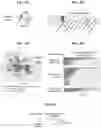 Fig. 18 - METHODS AND USES OF HIGH-THROUGHPUT INFERENCE OF SYNAPTIC CONNECTIVITY RELATIONSHIPS AMONG CELL TYPES