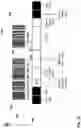 Fig. 07 - System and method for reading a barcode independently of image resolution or scale