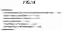 Fig. 16 - Control method and information processing apparatus for activating an application based on a reqsuest issued by a printer driver