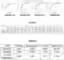 Fig. 04 - EMBEDDED STOCHASTIC-COMPUTING ACCELERATOR ARCHITECTURE AND METHOD FOR CONVOLUTIONAL NEURAL NETWORKS