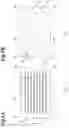 Fig. 08 - Electronic component having a plurality of internal electrodes