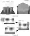 Fig. 08 - High efficiency visible and ultraviolet nanowire emitters