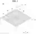 Fig. 02 - Light-emitting element package and light source module