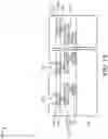 Fig. 02 - Magneto-resistive random-access memory (MRAM) devices with self-aligned top electrode via