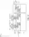 Fig. 04 - Magneto-resistive random-access memory (MRAM) devices with self-aligned top electrode via