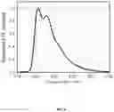 Fig. 05 - Organic electroluminescent materials and devices