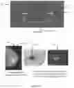 Fig. 02 - System and method for the visualization and characterization of objects in images