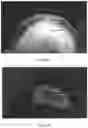 Fig. 08 - System and method for the visualization and characterization of objects in images