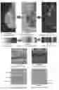 Fig. 09 - System and method for the visualization and characterization of objects in images