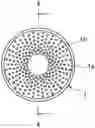 Fig. 01 - Speaker diaphragm