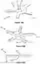 Fig. 11 - PLANT GROWTH SUPPORT