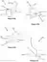 Fig. 15 - PLANT GROWTH SUPPORT