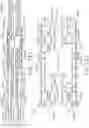 Fig. 137 - TISSUE THICKNESS COMPENSATOR CONFIGURED TO REDISTRIBUTE COMPRESSIVE FORCES
