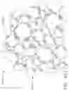 Fig. 232 - TISSUE THICKNESS COMPENSATOR CONFIGURED TO REDISTRIBUTE COMPRESSIVE FORCES