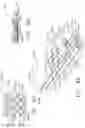 Fig. 40 - TISSUE THICKNESS COMPENSATOR CONFIGURED TO REDISTRIBUTE COMPRESSIVE FORCES