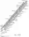 Fig. 51 - TISSUE THICKNESS COMPENSATOR CONFIGURED TO REDISTRIBUTE COMPRESSIVE FORCES