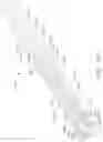 Fig. 81 - TISSUE THICKNESS COMPENSATOR CONFIGURED TO REDISTRIBUTE COMPRESSIVE FORCES
