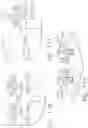 Fig. 92 - TISSUE THICKNESS COMPENSATOR CONFIGURED TO REDISTRIBUTE COMPRESSIVE FORCES