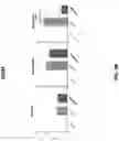 Fig. 06 - COMPOSITIONS AND METHODS FOR THE REDUCTION OR TREATMENT OF INFLAMMATION