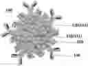 Fig. 01 - BLOOD CLEANSING SYSTEM
