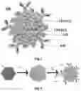 Fig. 02 - BLOOD CLEANSING SYSTEM