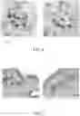 Fig. 07 - Tattoo needle structure